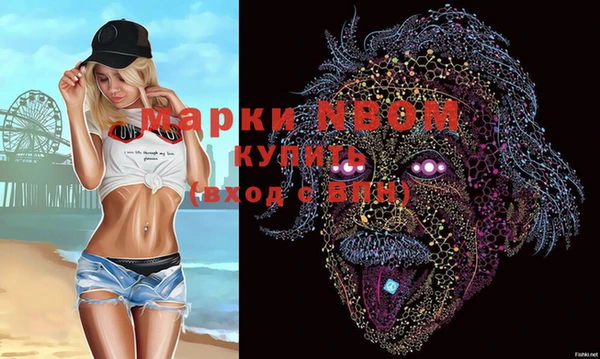 шишки Пестово