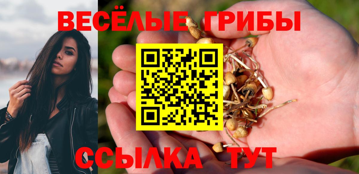 Псилоцибиновые грибы Magic Shrooms Белая Калитва