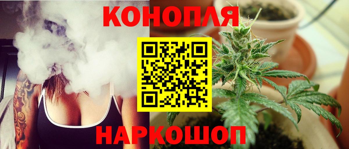 Канабис сатива Белая Калитва